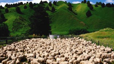 74300-d494d899575a684c91610a6ab9543f1d