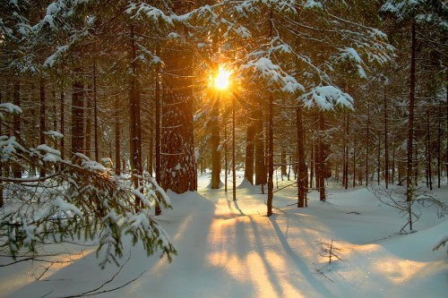 bigstock-Winter-Landscape-50504114-500x333