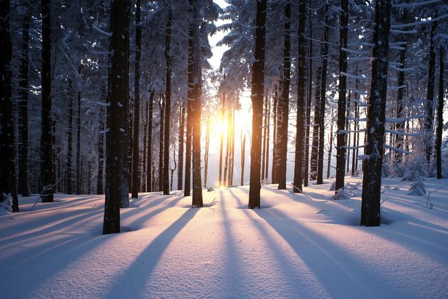 winter-solstice-facts-1.jpg.653x0_q80_crop-smart-1