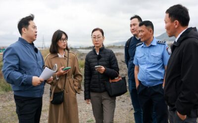 large-68b79678dceb081e87ba55d6