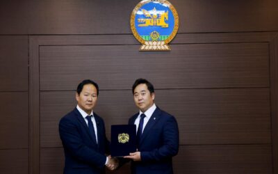 large-68c12d33f9b047338a080d1c