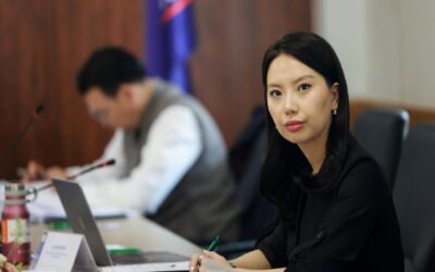 large-68c3ddacf9b047338a080d45