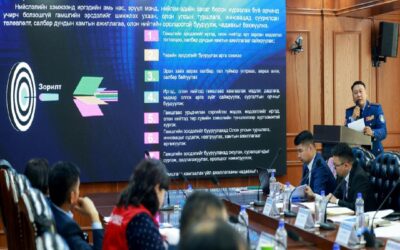 large-68da48a3f9b047338a080daf