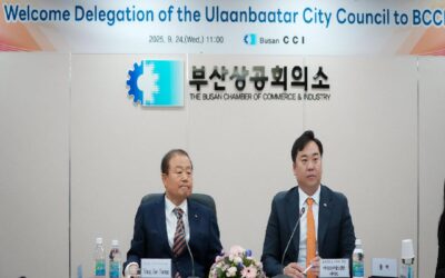 large-68e70ac3f9b047338a080dd5