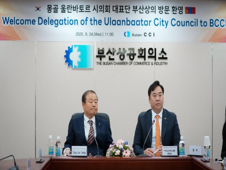 large-68e70ac3f9b047338a080dd5