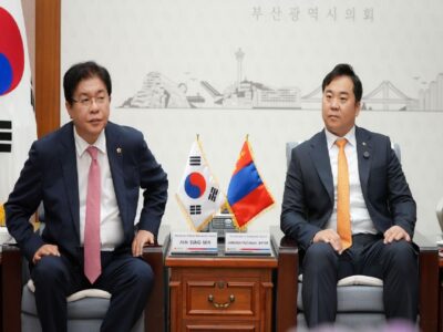 large-68e8b2d0f9b047338a080de9