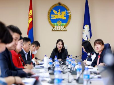 large-68ec8576f9b047338a080df3