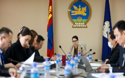 large-68ecb96cf9b047338a080dfd