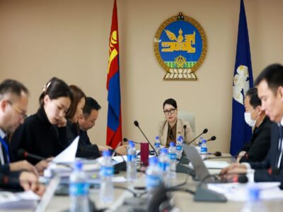 large-68ecb96cf9b047338a080dfd