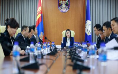 large-68f07031f9b047338a080e2a