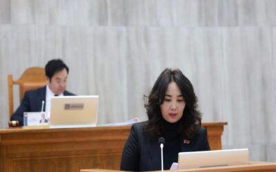 large-68f0e379f9b047338a080e44