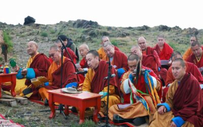 large-685e6beddceb081e87ba5484