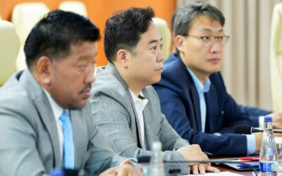 large-688b3279dceb081e87ba555d