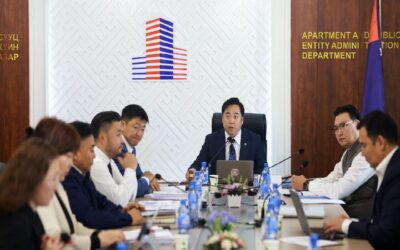 large-68c3bfbaf9b047338a080d3b