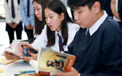 large-68c9234cf9b047338a080d64