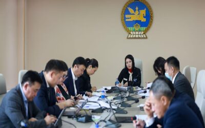 large-68d13077f9b047338a080d96