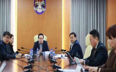 large-68d135b0f9b047338a080d9b