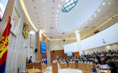 large-68d29569f9b047338a080da5