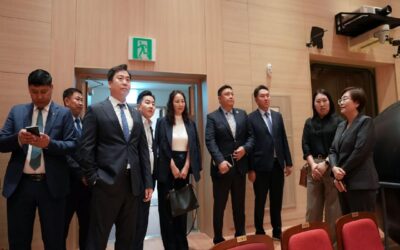 large-68e88435f9b047338a080de4