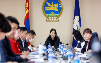 large-68ec8576f9b047338a080df3