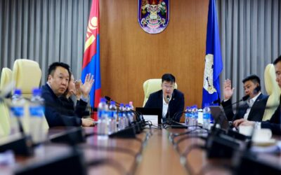 large-68ecd702f9b047338a080e07