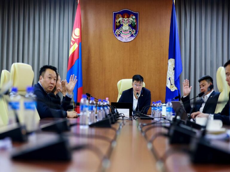 large-68ecd702f9b047338a080e07