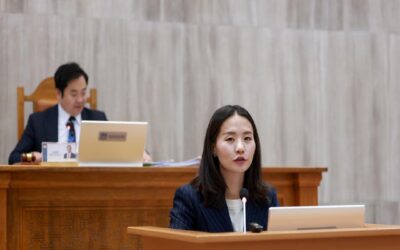 large-68f0c543f9b047338a080e39