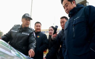 large-68f883baf9b047338a080e53